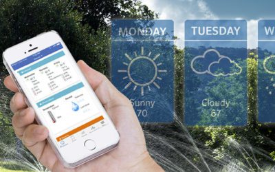 Wi-Fi-Based Irrigation Technology Explained