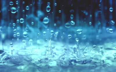 Rainwater Harvesting: Rain, Rain, Don’t Go Away!