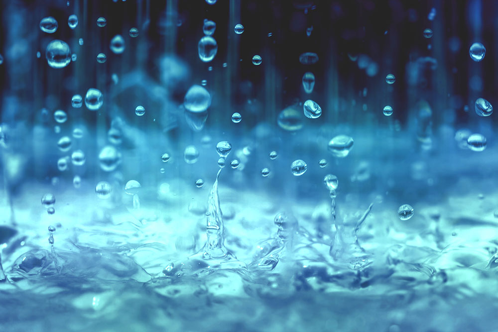 Rainwater Harvesting: Rain, Rain, Don’t Go Away!