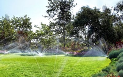 Market Your Business as a Leader During Smart Irrigation Month