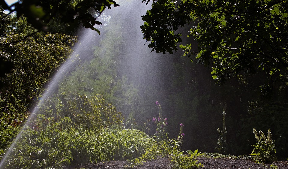 Choosing the Right Sprinkler Head: Sprays vs. Rotors