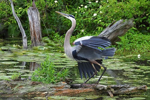 Protecting Ohio Watersheds