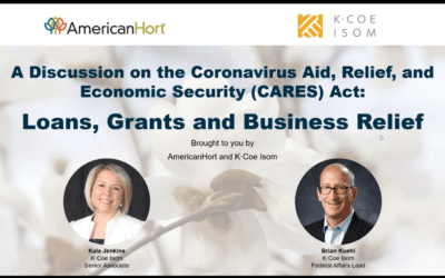 Key Provisions of the CARES Act