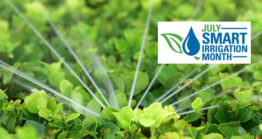 Gearing Up for Smart Irrigation Month this July