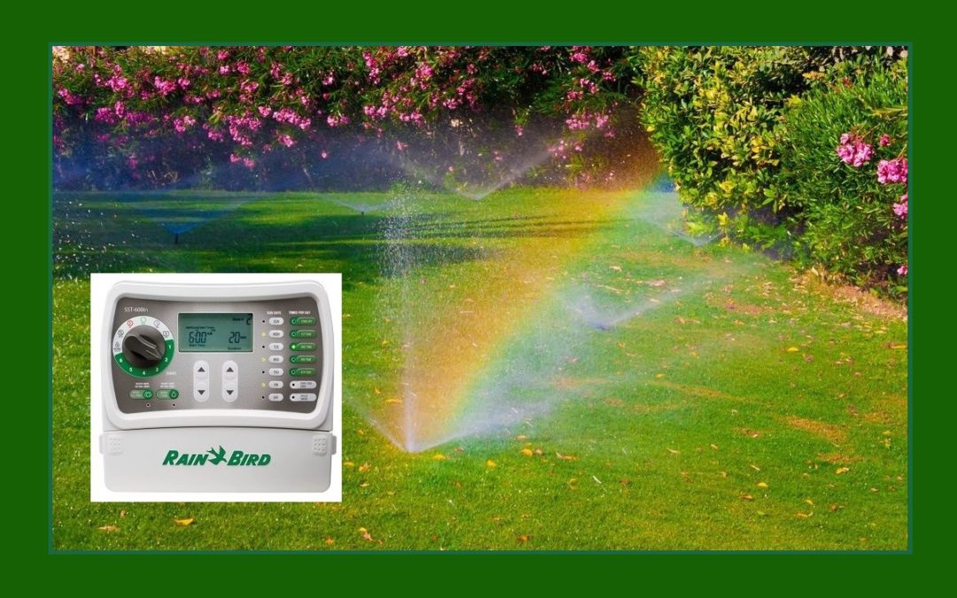 Old-School Irrigation Timers vs. Smart Controllers