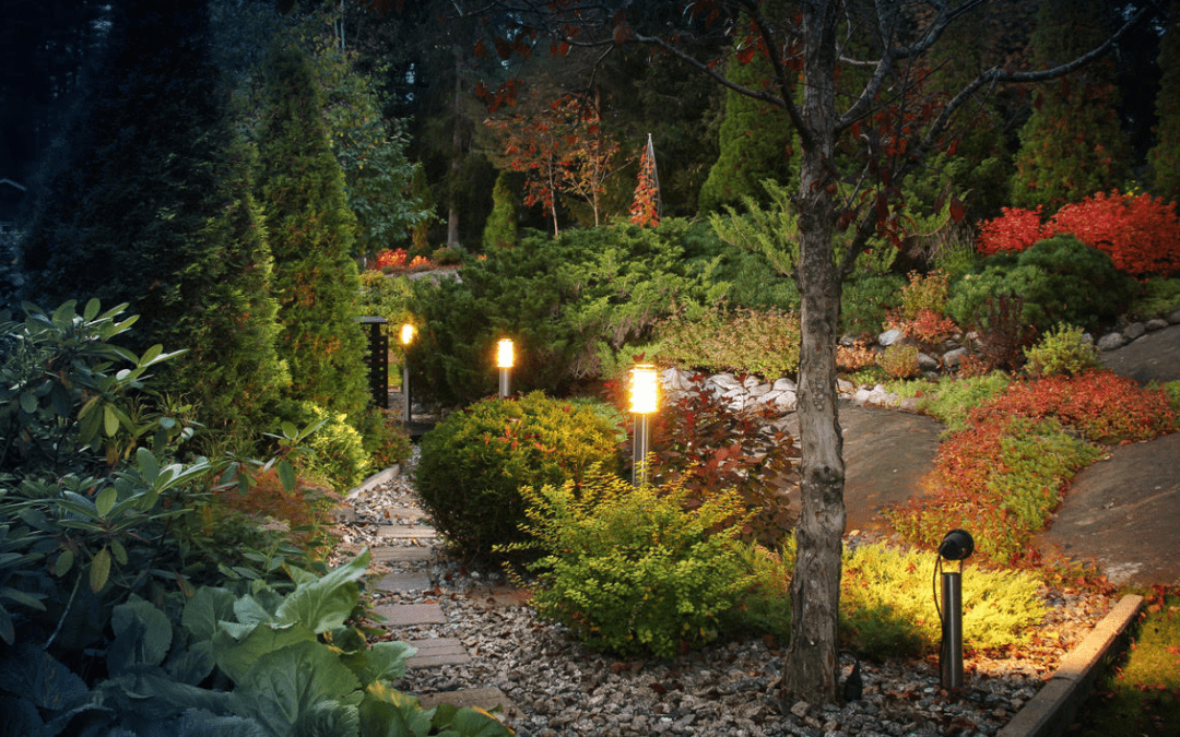 Branching Out into Landscape Lighting