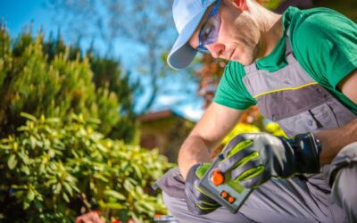 The Value of Old Timers